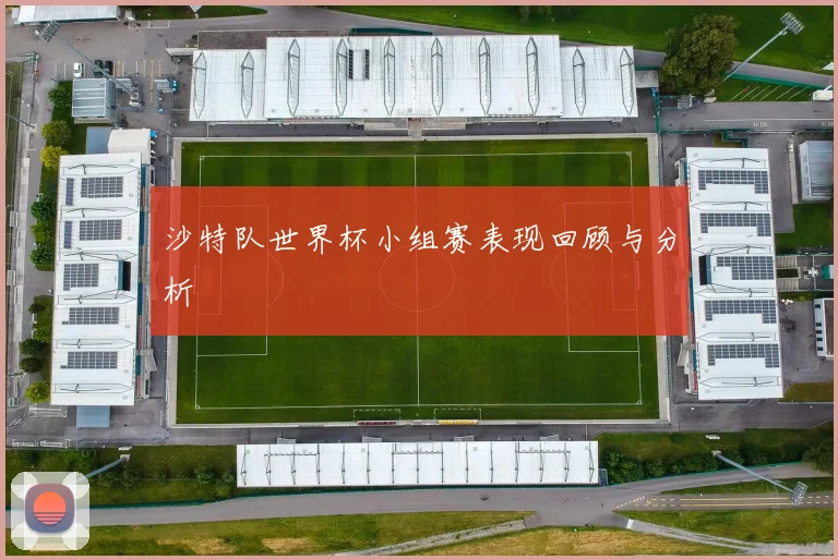 沙特队世界杯小组赛表现回顾与分析